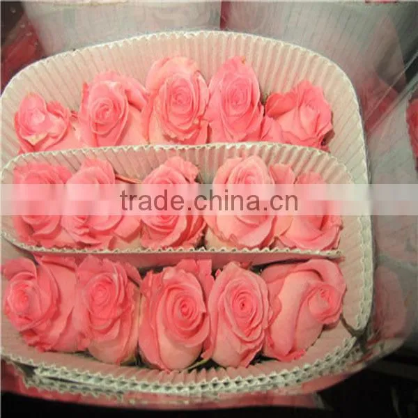 export fresh cut flowers roses from China online