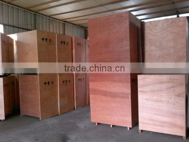 2014 stainless steel garlic processing machine