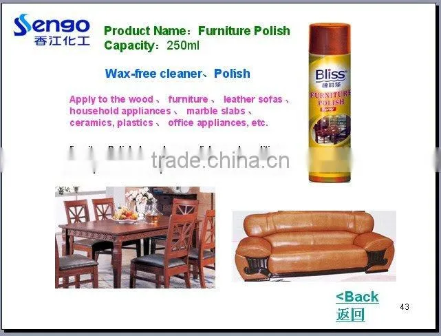 Leather Polishing Spray
