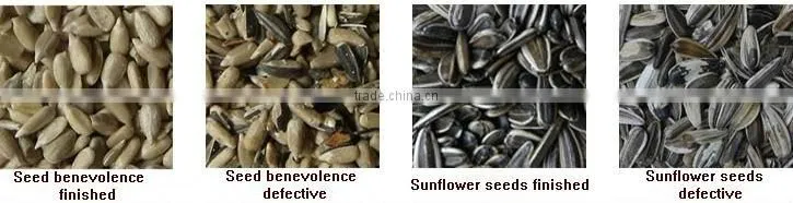 Seeds Color Sorter Machine