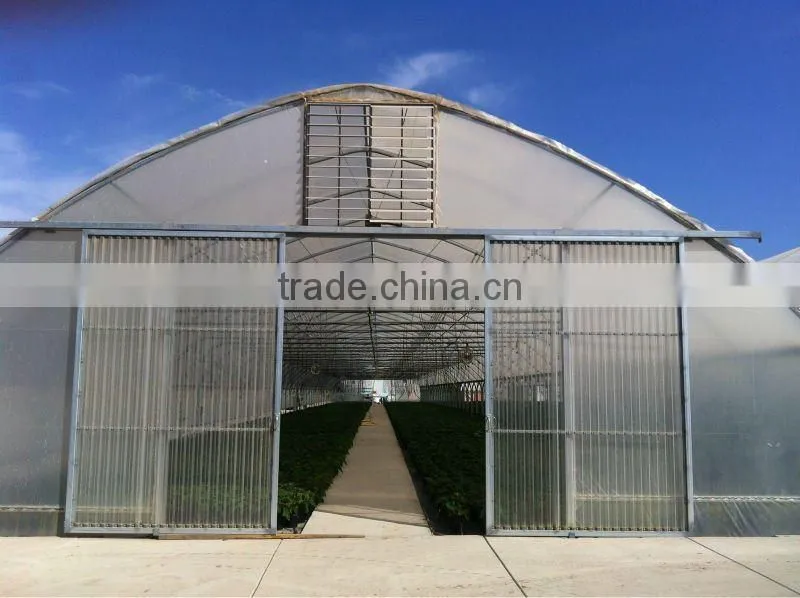 Vegetable Tunnel Plastic Green House