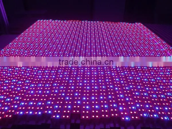cob led 20w uv for laser ponter,365nm/380nm/400nm,high quality ,accurate wavelength