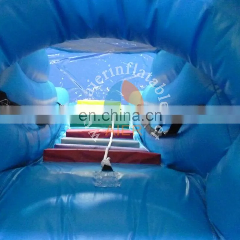 popular inflatable plastic slide toy / best quality outdoor playground water slide / cute dolphin inflatable pool slide