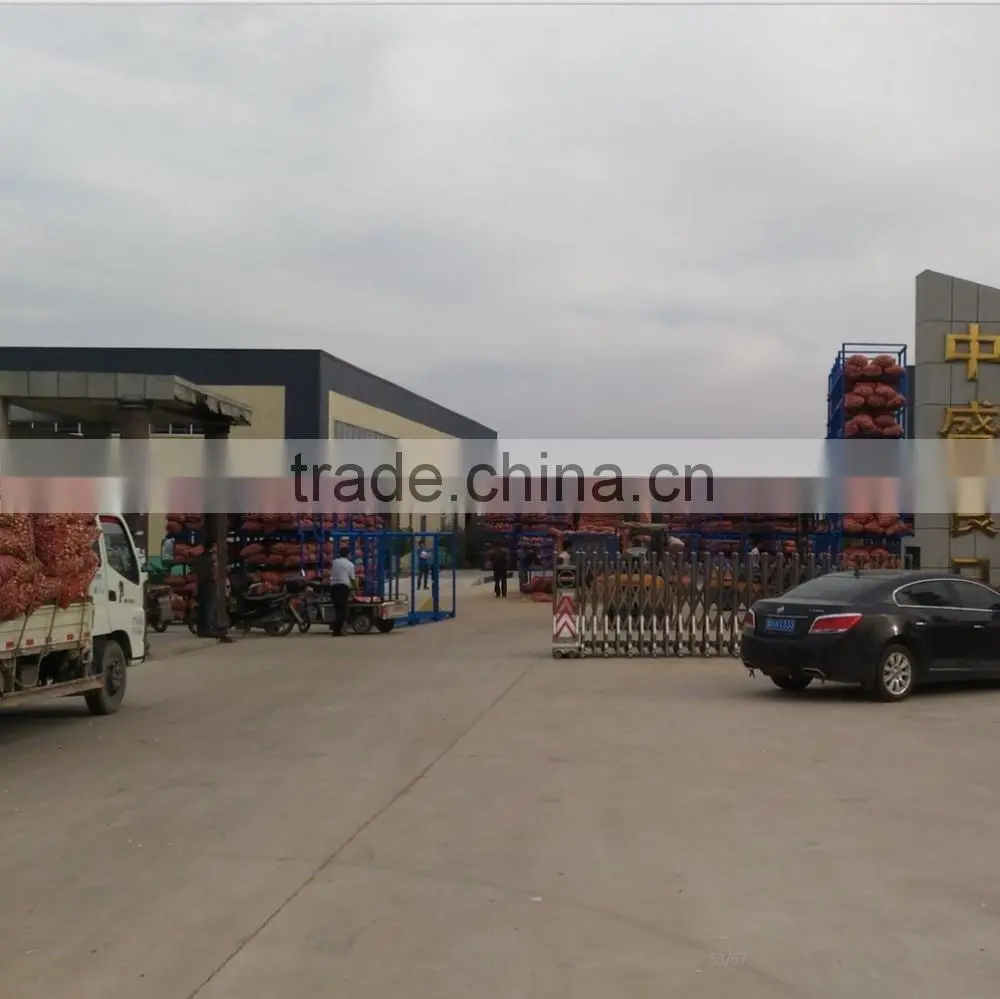 2016 new garlic fresh garlic Jinxiang garlic for export