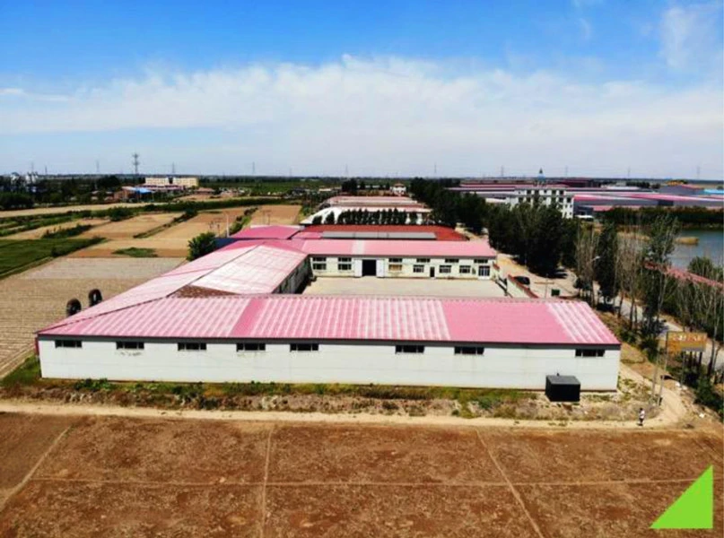 Hebei Dayu Seeds Co.,Ltd. company overview - view 2