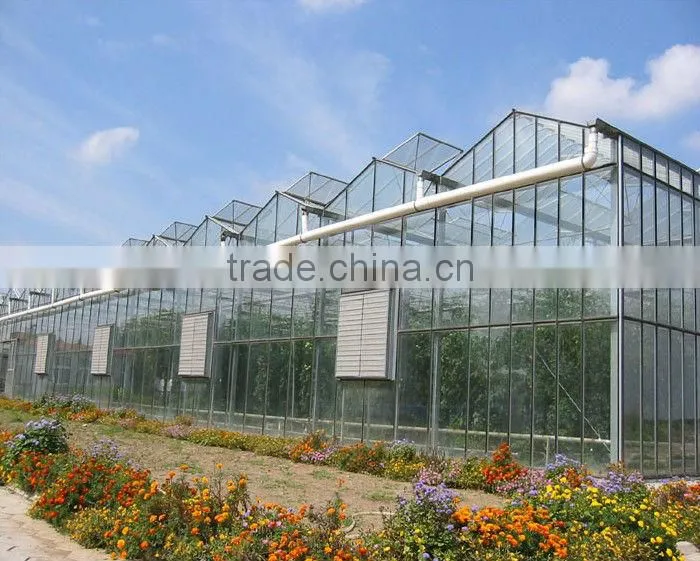natural ventilation system multi span greenhouse
