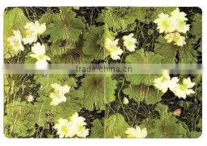 ceramic toner printer with km 1024
