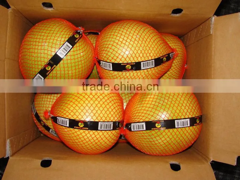 chinese honey pomelo