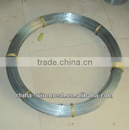 Best Price factory 2.4mm*3.0mm wire oval galvanized