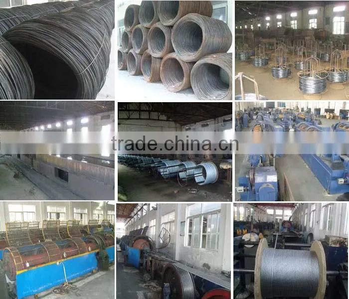 Steel Wire Rope