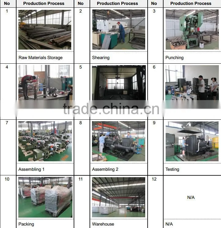 ricardo 25kw biogas generator with CHP