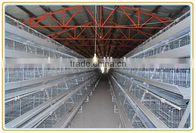 Fram raise dorking equipment with feeding system.A type dorking layer cage