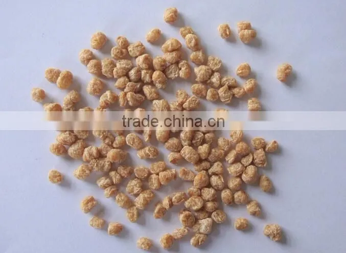 Textures vegetarian soya bean protein proessing line