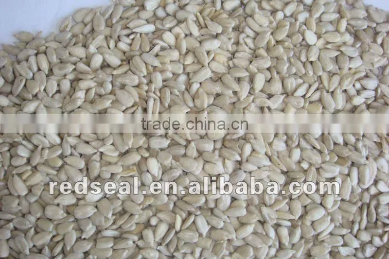 2014 White Sunflower seeds