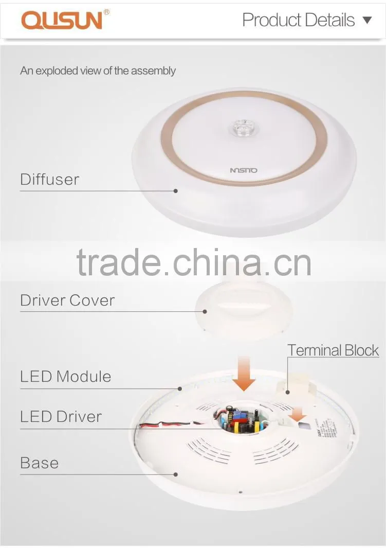 Champagne 20W Surface Mounted CE RoHS LED Ceiling Lamp living room lighting