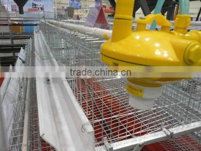 stainless steel metal chicken farm equipment