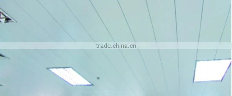 2010 new H-shaped strip ceiling board