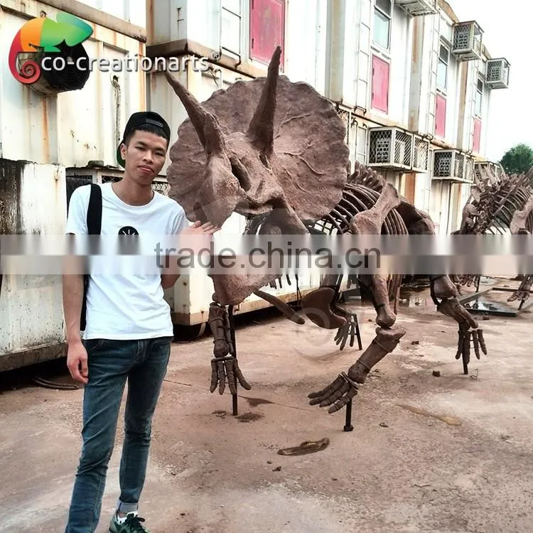 High simulation fiberglass Triceratops dinosaur fossils