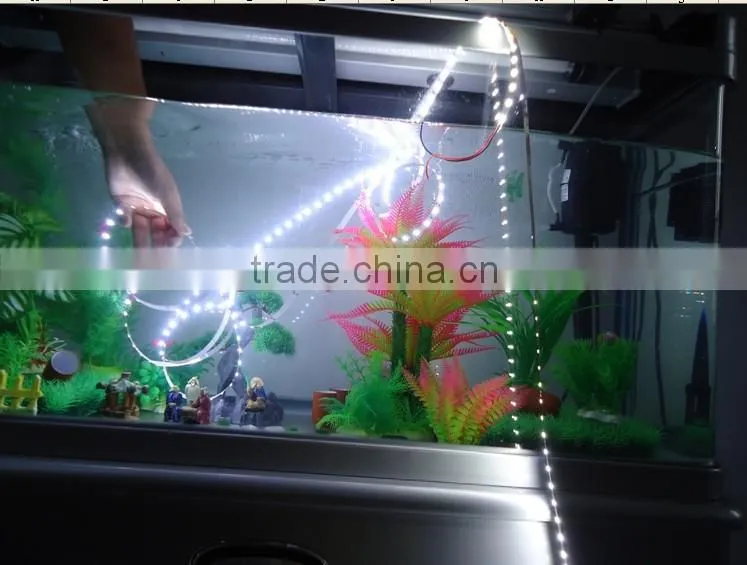 SMD2835 led strip light