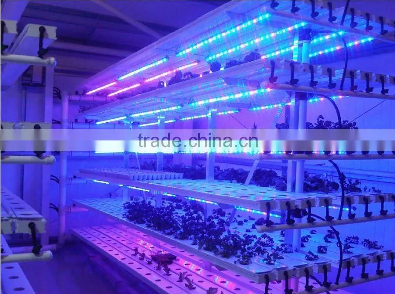 120w led aquarium lighting