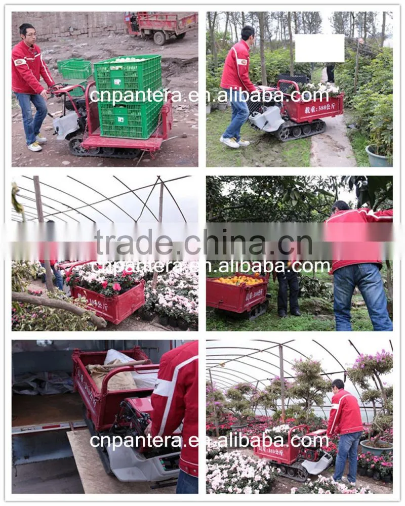 PT7B-220A 2015 New Design CE Apporoved Mini Crawler Dumper for Belarus