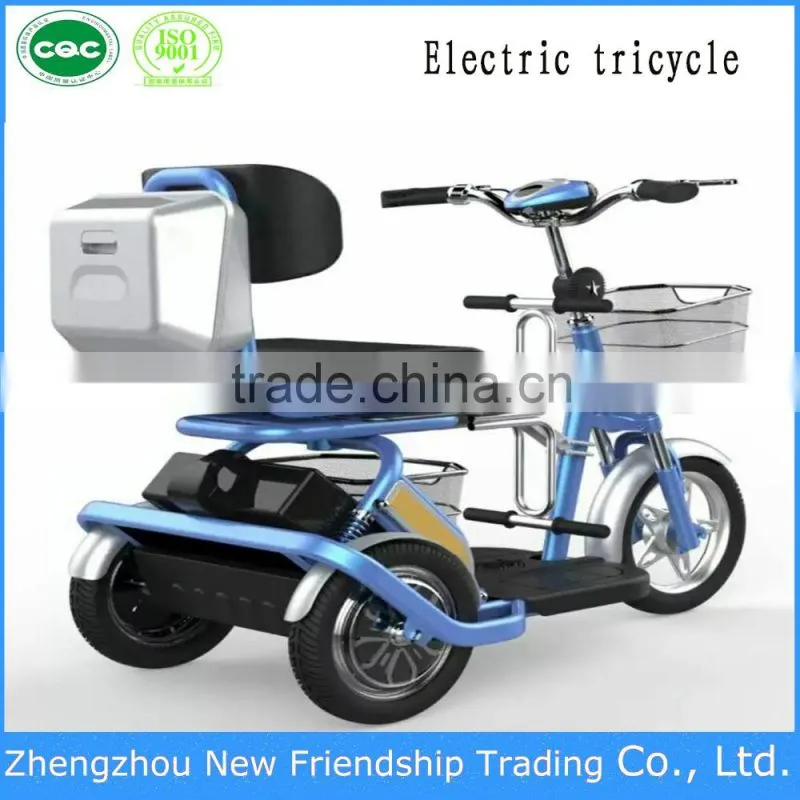 battery powered small family using scooter