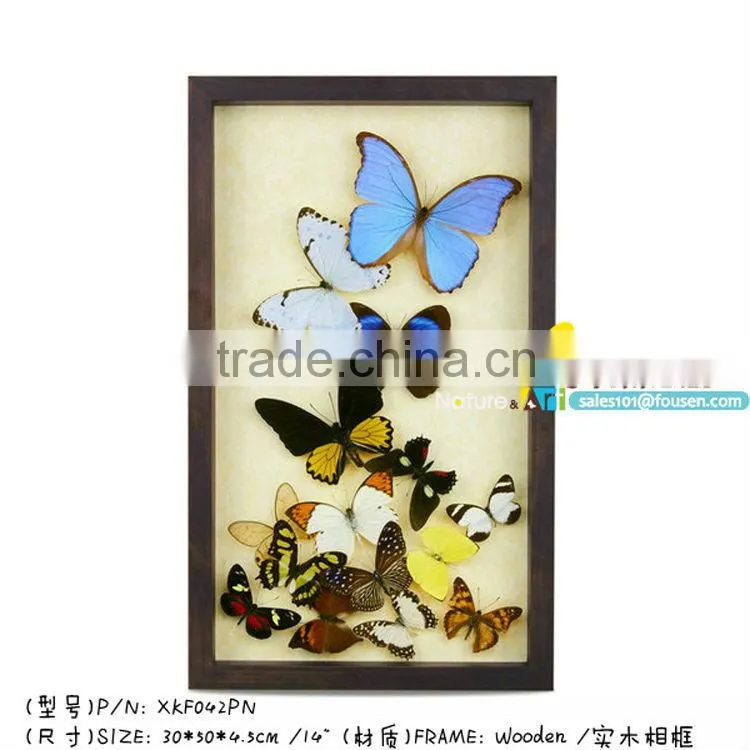 FOUSEN(042) Nature& Art preserved naturals decorations home garden