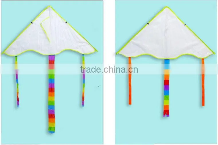 Wholesale promotional children kite , DIY kite