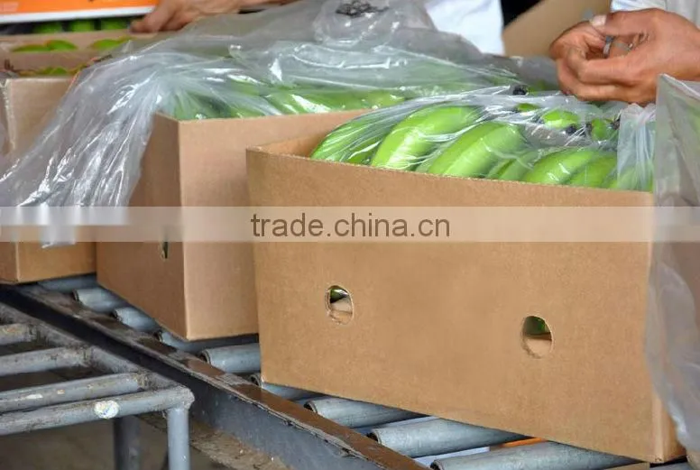 ECUADOR ORIGIN BANANA FROM TURKEY BY ALDERA QUALITY AND GUARANTEE