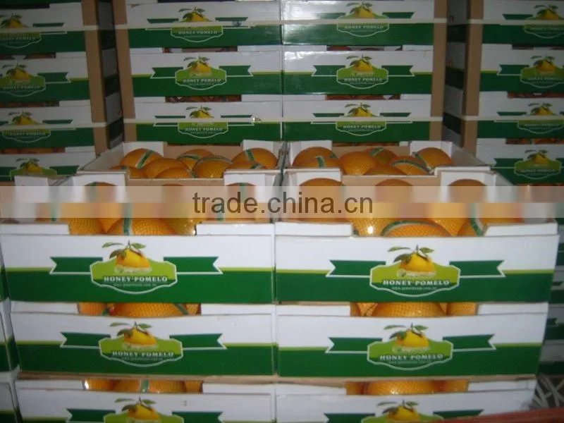 Customers buy sour fresh honey pomelo from China