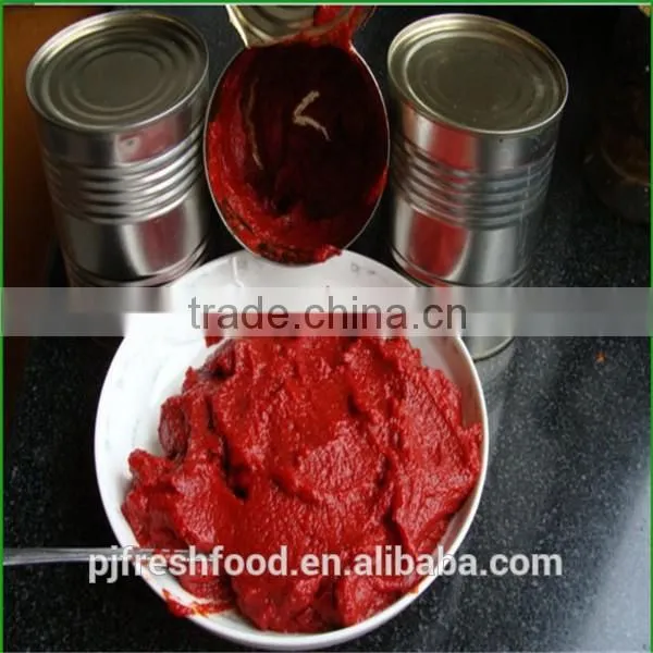 Canned Tomato Paste