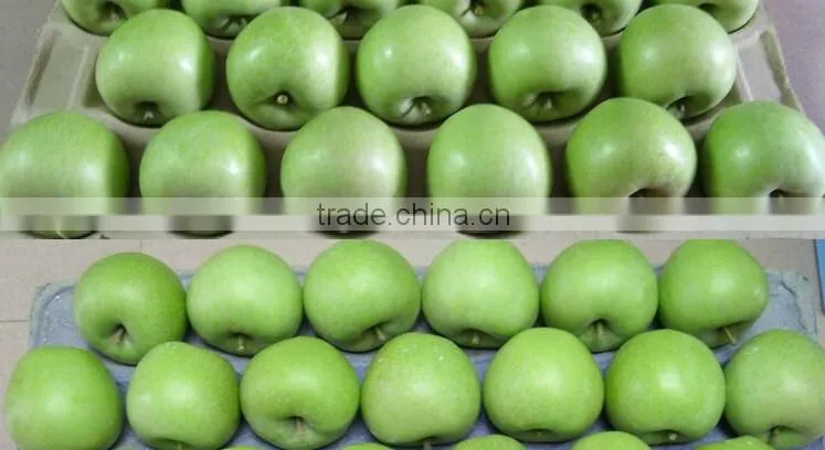 Wholesale Prices Fresh Apple Fruit / Red Fresh Apple