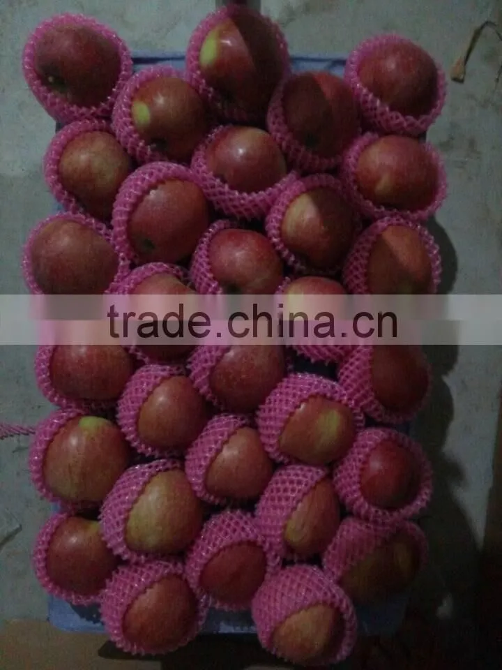 Chinese Red Star Apple