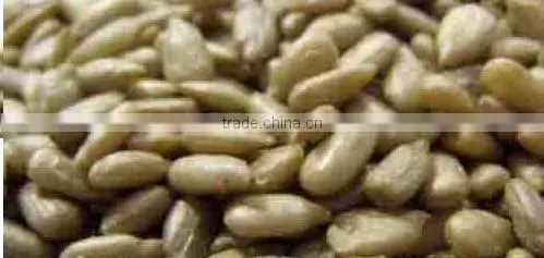 Edilble sunflower kernel new season
