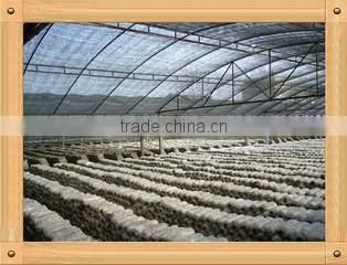 Chongqing Eusinasia Foods Co., Ltd. company overview - view 1
