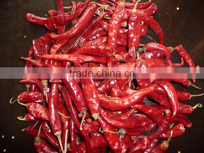 2015 New crop Manufacturer supplier strictly quality control HACCP HALAL Dried red erjintiao Chile de Arbol for Mexico market
