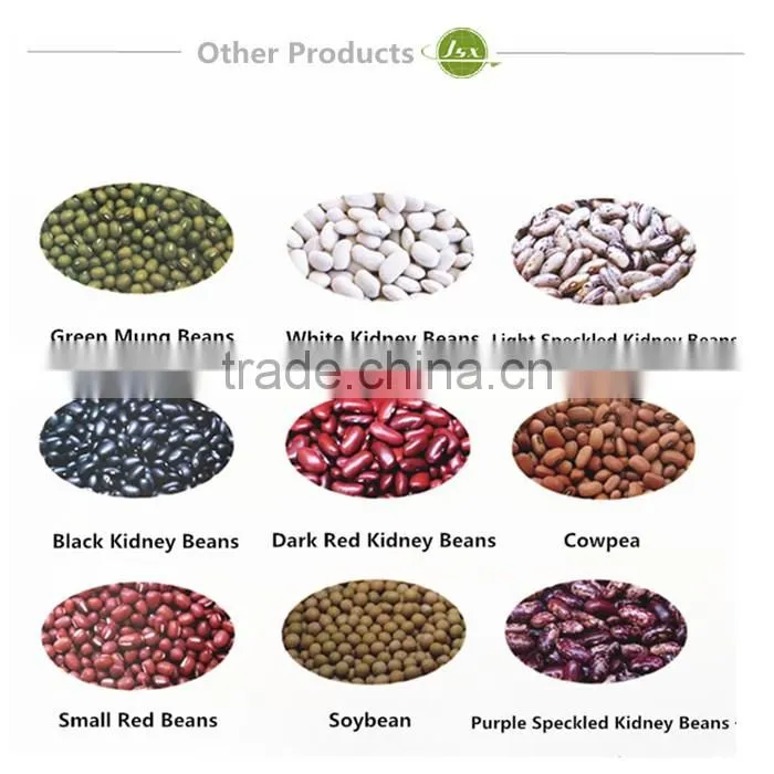 JSX NON GMO Kidney Beans,Soybeans and Soyabeans Milk In Stock
