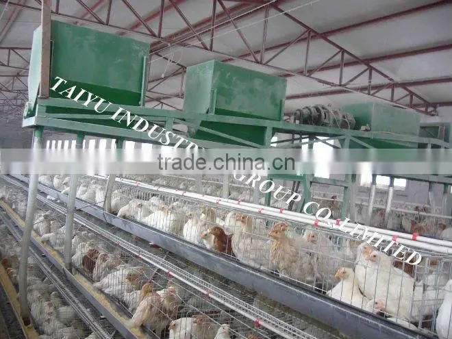 A type automatic chicken layer battery cage
