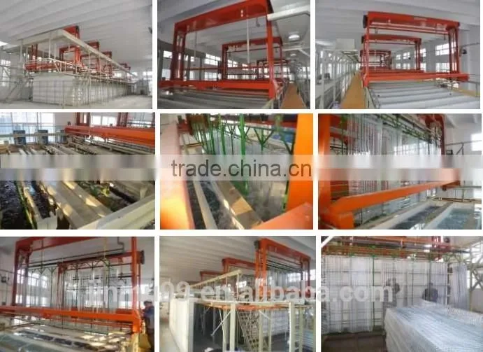 new design hot sale chicken Broiler Chicken