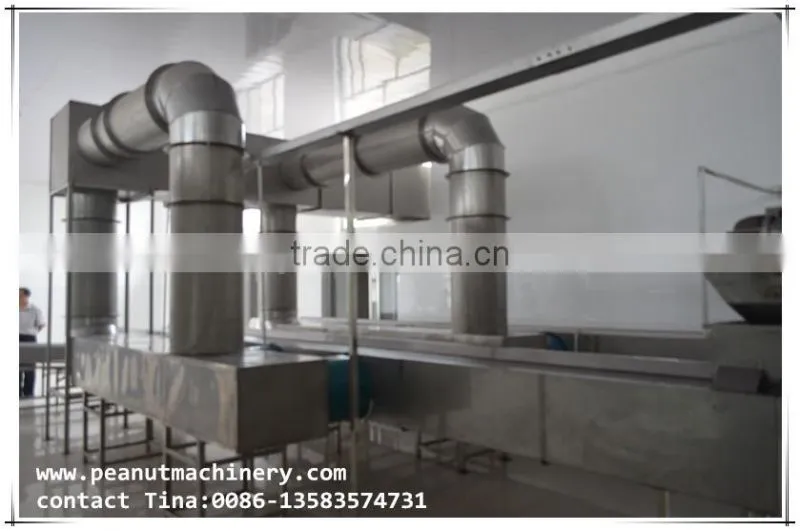 Frying Peanut production line