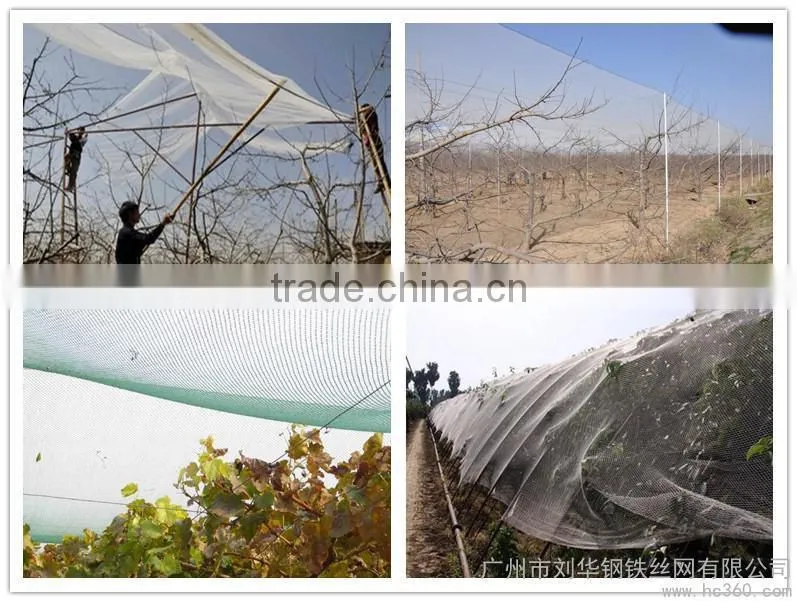 anti hail net for apples, hail protection netting