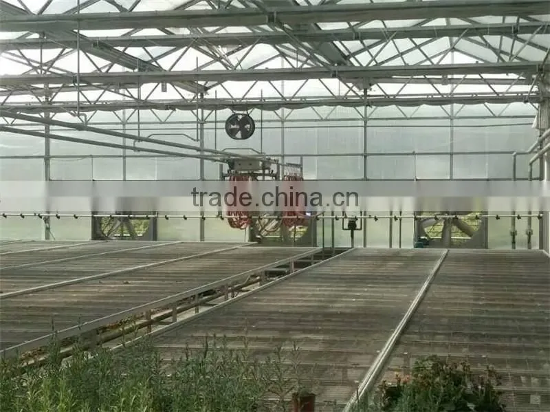 ventilation exhaust fan/ventilator price for greenhouse