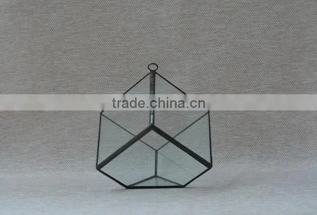 Micro landscape irregular geometric succulent terrariums hanging greenhouse