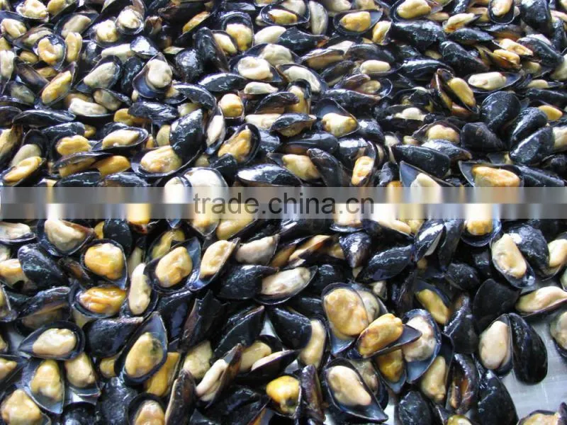 IQF Half shell blue mussel