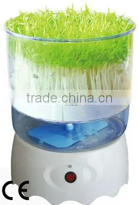 Automatic Bean Sprout Machine-Manufacturer /CE Certificate