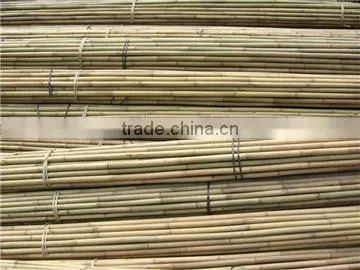 High-quality Bamboo Canes