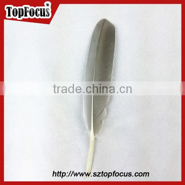 50pcs Home Decorative Dyed Natural grey dyed goose feathers sale
