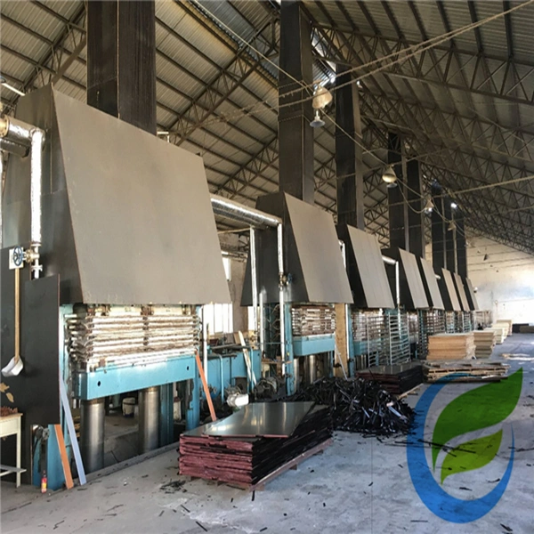Global Plywood Biz (Linyi) Co.,Ltd. company overview - view 2