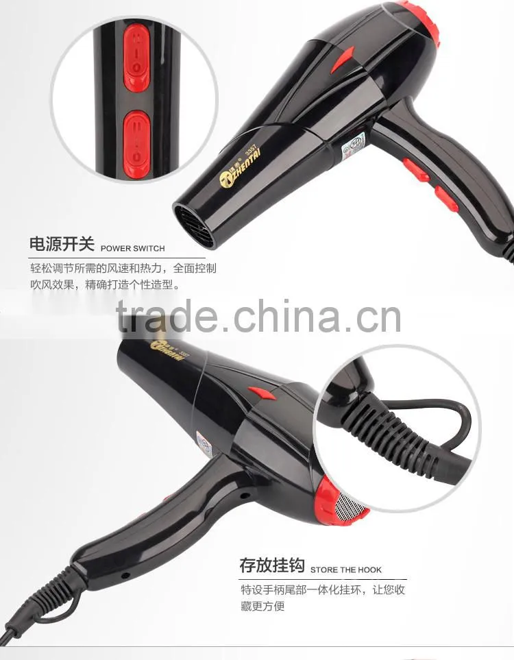 Ionic Hair Dryer Salon Equipment Cold and Hot Air Blower Dryer