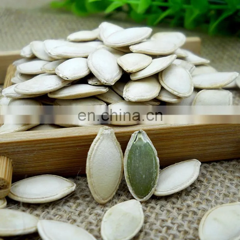 Argentina sunflower high oil seeds